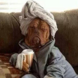 Meet your Posher, Christa